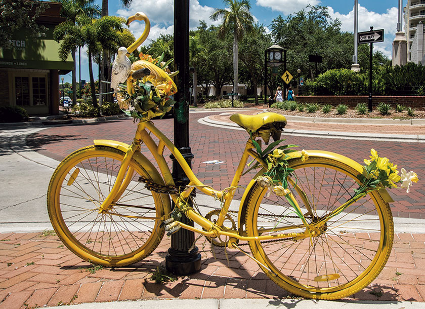 Bicicle in Sarasota City Florida