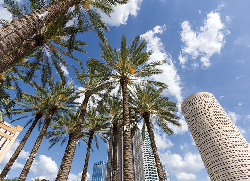 View Urban Landscape Tampa Florida