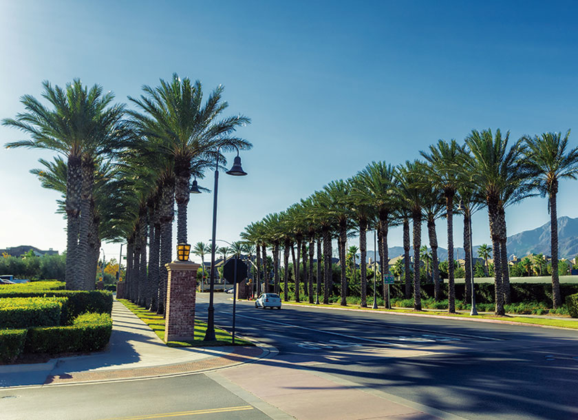 Palms Street Ontario California