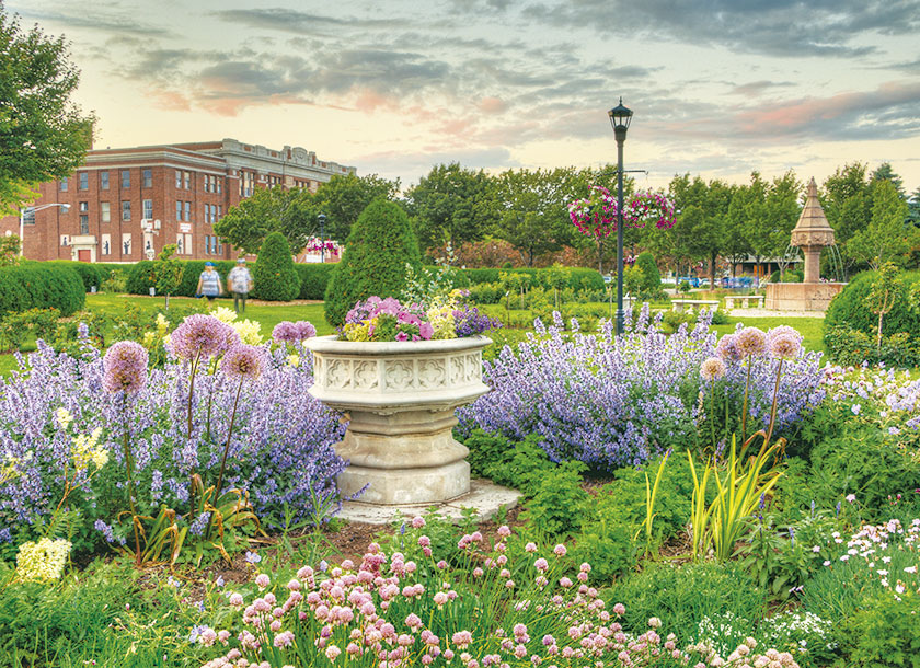 Rose Garden in Duluth Minnesota