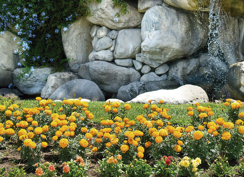 Waterfall Rocks in Perris California