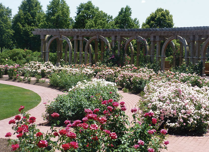 Garden Lehi Utah