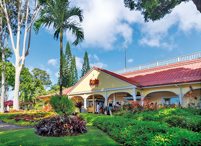 Pineapple Plantation in Wahiawa Hawaii