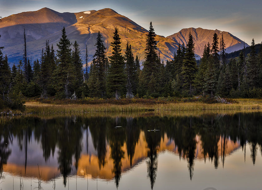 Landscape in Willow Alaska