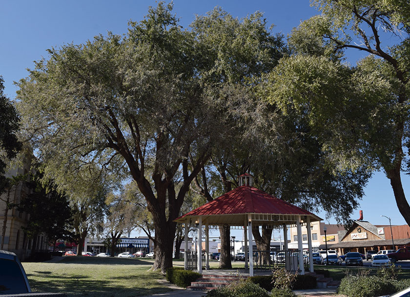 Town Square Hockley Texas