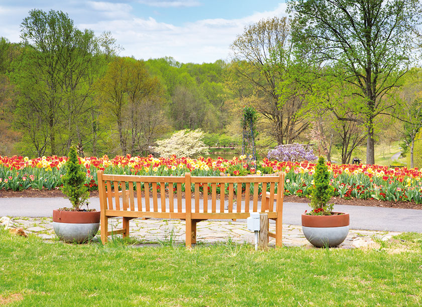 Park bench Spring Background in Vienna Virginia