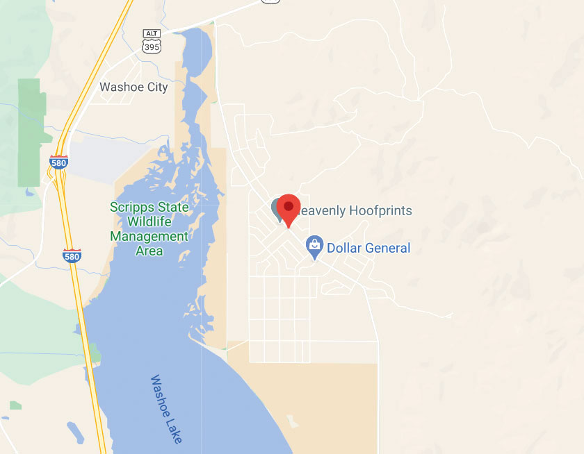 Map of Washoe Valley Nevada
